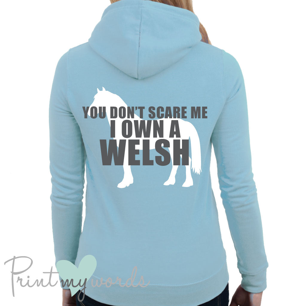 I Own A Welsh Funny Equestrian Hoodie Print My Words