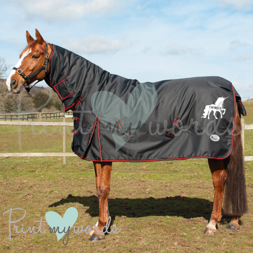 Heavyweight on sale turnout rug