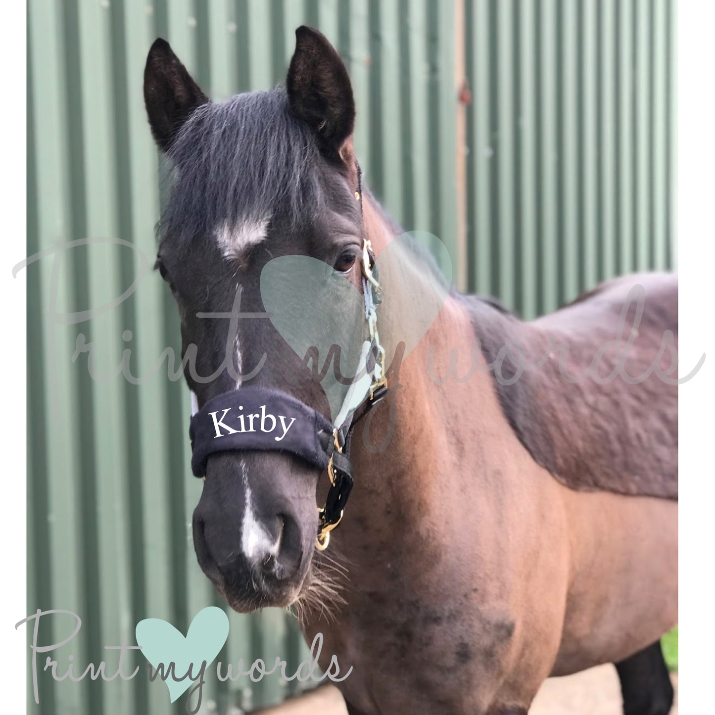 Personalised Anatomical Headcollar And Leadrope Set - Standard Design