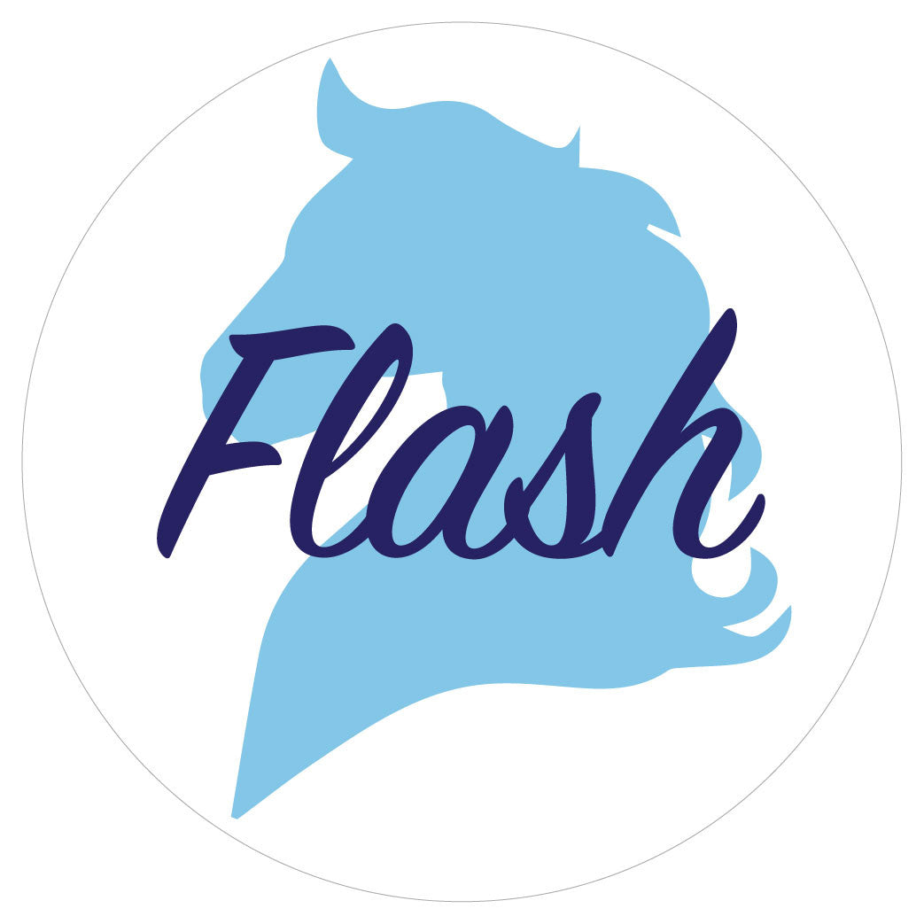 Personalised Horse Head Stickers - Pack of 10.